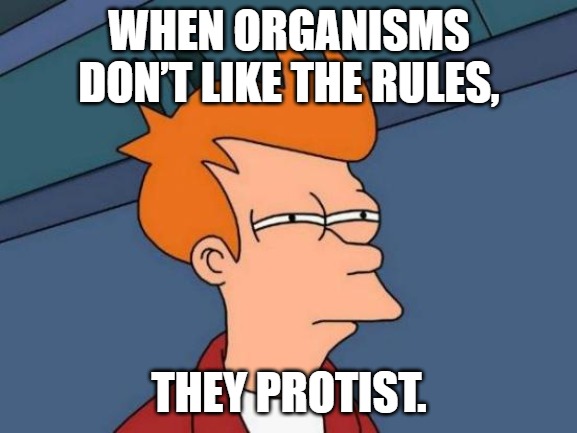 When organisms don’t like the rules, they protist.